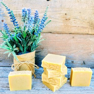Goat Milk Soap ~ Handmade Goat Milk Soap ~ Unscented Goat Milk Soap ~ Handmade Soap ~ Goat Milk Soap Gift ~ Handmade Gift