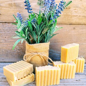 Goat Milk Soap ~ Handmade Goat Milk Soap ~ Unscented Goat Milk Soap ~ Handmade Soap ~ Goat Milk Soap Gift ~ Handmade Gift