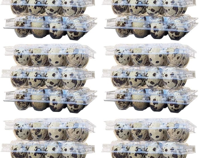 Quail Egg Cartons, Pack of 15, Each Holds 12 Quail Eggs, Bulk Carton for Dozens of Small Eggs