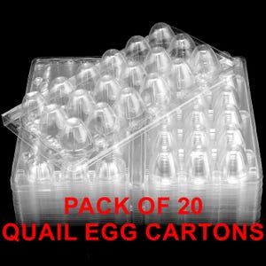 20 stuks kwarteleitjes, 18 holtes kleine eieren opbergdoos, plastic doorzichtige kwarteleitjeshouder Kwarteleitjes kleine eierdoosjeshouder
