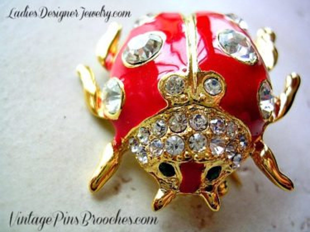 Vintage ladybug hotsell brooch