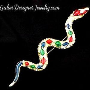 May include: A gold-tone snake brooch with red, blue, and green enamel and rhinestones.