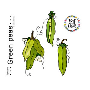 Può includere: Una pagina da colorare di baccello di pisello verde con sezioni numerate. L'immagine include tre baccelli di pisello, uno aperto e due chiusi. Il testo "Pattern: Green peas... by Arte Amalia Crafts" è sul lato sinistro dell'immagine.