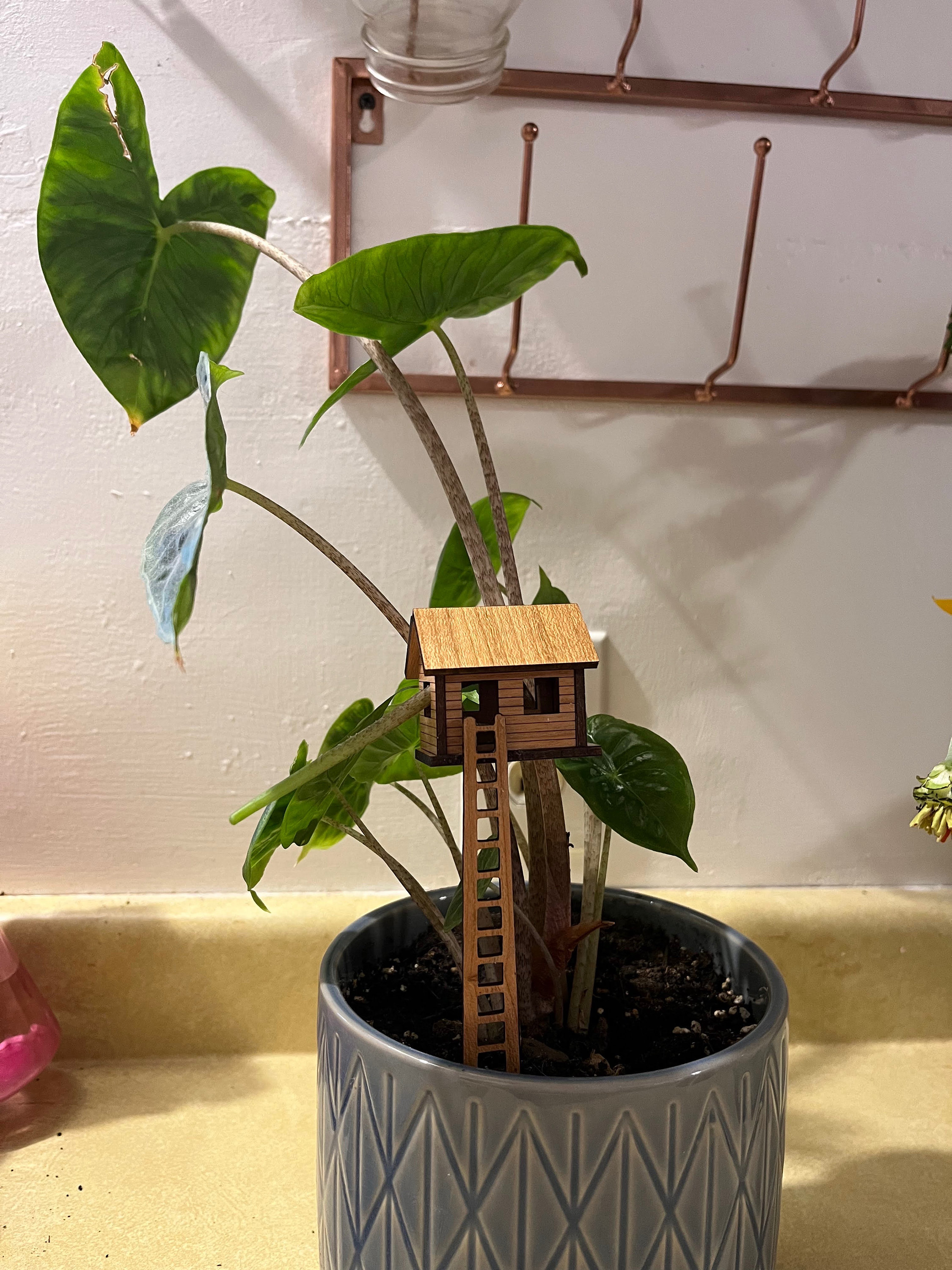 Pflanze Mini Baumhaus - Etsy.de