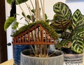 Folklore Inspired Cabin Plant Treehouse