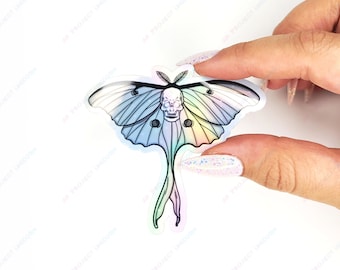 Holographic Skull Moth Sticker | Holographic Sticker, Moth Sticker, Laptop Sticker, Water Bottle Sticker, Vinyl Sticker