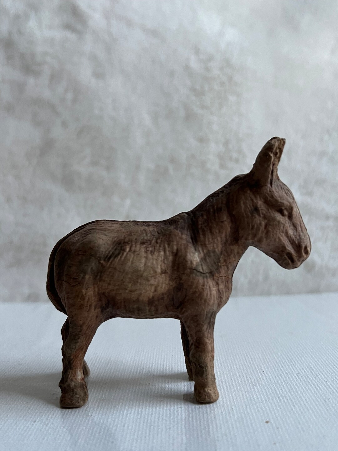 Rhinocéros blanc (Ceratotherium simum) - Monde Animal