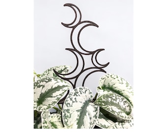 Crescent Moon Plant Trellis 15”