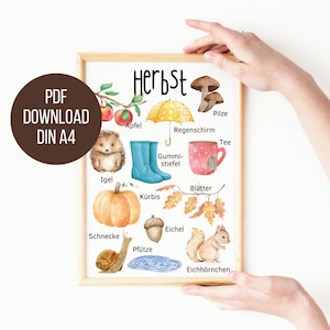 Imprima carteles de otoño directamente | DIN A4 | Póster de vocabulario | Impresión Montessori ? Motivos otoñales para niños | Aprende palabras de otoño | Escuela primaria