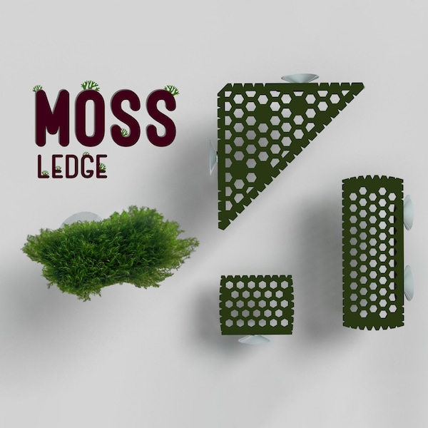 Ledge for Moss or Rhizome Plants, Surface for Moss and Plants, Enhance Aquascaping and Nourishment, Planted Tank Accesories