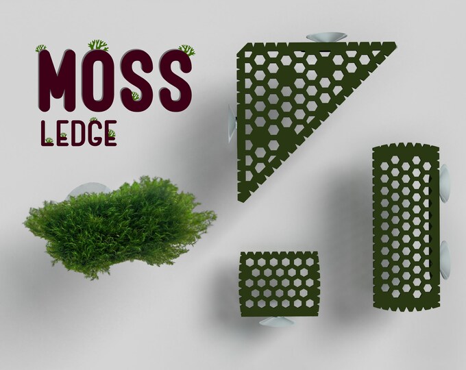 Aquarium Decor Moss Bridge Easy Beginner Live Aquatic Plant for