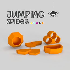 SPANSEE Jumping Spider Enclosure, Magnetic Spider Hideout Decoration,  Jumping Spider Habitat Nest Accessories for Terrarium, 3D printed Resin  Swing