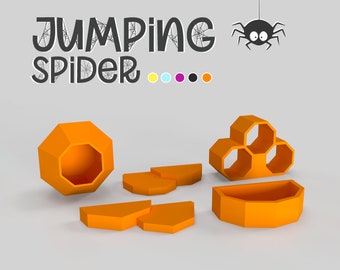 Complete Jumping Spider Habitat-setup met verrijkingsaccessoires, schuilplaatsen en klimdecor