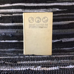 Sweet, Clover, a Romance in the White City, A Good, 19th Century, Novel