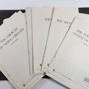 Medical Studies (18), Reprinted from Scientific American, Very Good, mid 20th Century
