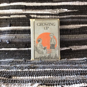 The New Silent Readers, Growing Up, a Fair, Early 20th Century, Illustrated, Children’s Reader.