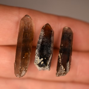 3 cristaux de QUARTZ SMOKEY AUSTRALIAN 3 cm 7,6 g Spécimens bruts naturels