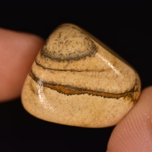 PICTURE JASPER Tumbled Stone 2.3cm 13g Natural Genuine Stone Healing Crystal