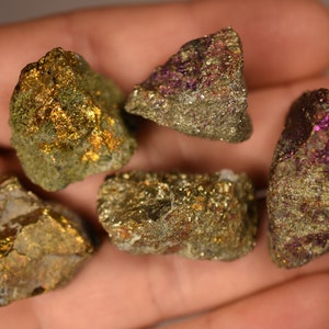 5 PEACOCK ORE Specimens 2-3cm 60.7g Natural Rough Specimens