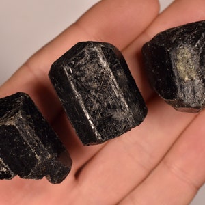 3 BLACK TOURMALINE Crystals 3cm 92g Natural Rough Crystal Specimens