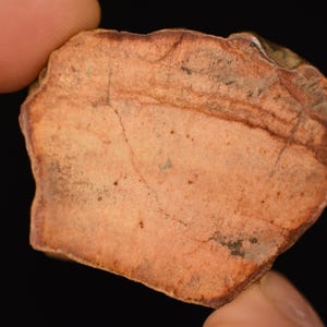 VERsteinerte Holzplatte 4,5 cm 31,1 g natürliche polierte Scheibenstein