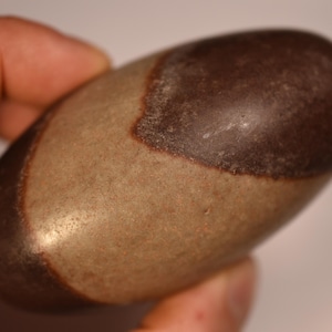 SHIVA LINGAM 9cm 305g Genuine Stone Natural Egg