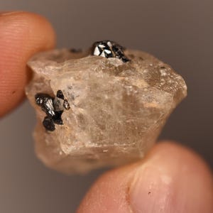 AUSTRALIAN CASSITERITE In QUARTZ 2.4cm 6.9g Natural Stone
