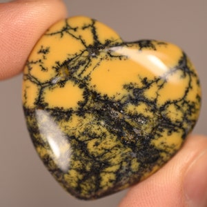 Könnte beinhalten: Ein herzförmiger, gelber und schwarzer dendritischer Opal-Edelstein. Der Opal hat eine glatte, polierte Oberfläche und komplizierte schwarze Dendritenmuster.