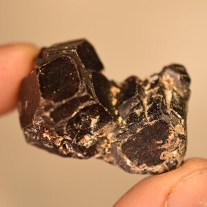 May include: A raw, dark brown to black garnet crystal cluster with multiple distinct, angular, and faceted faces. The mineral specimen displays a natural, rugged texture with small areas of lighter-coloured mineral inclusions between the crystals.