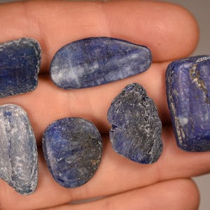 6 BLUE KYANITE Crystals 2-3cm 19.5g Natural Rough Specimens