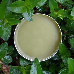 Herbal Insect Repellent Salve: Beauty Berry, Mountain Mint - Natural Bug Protection