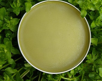 Chickweed and Comfrey Salve with Frankincense/ Skin Rash Balm/ Cooling Herbal Ointment for Natural Skincare/ Eczema Cream/ Dry Skin Care
