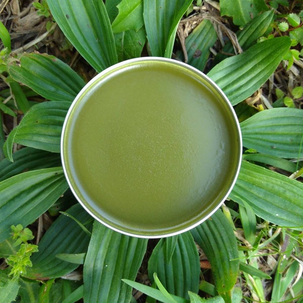 Herbal Soothe Salve with Plantain, Yarrow and Elder Leaf/ Cuts and Scrapes Salve/ Cooling Burn Salve/ Bug Bite Salve/ Herbal Gifts for Kids