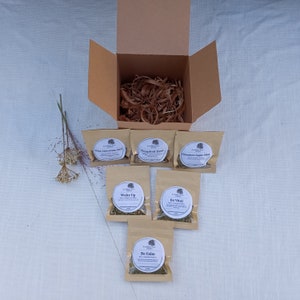 Organic Herbal Tea Sampler: Handcrafted Loose Leaf Tea Blends