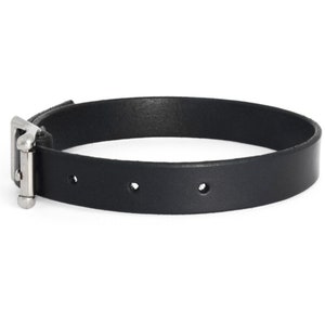 May include: A black leather choker with a silver buckle.