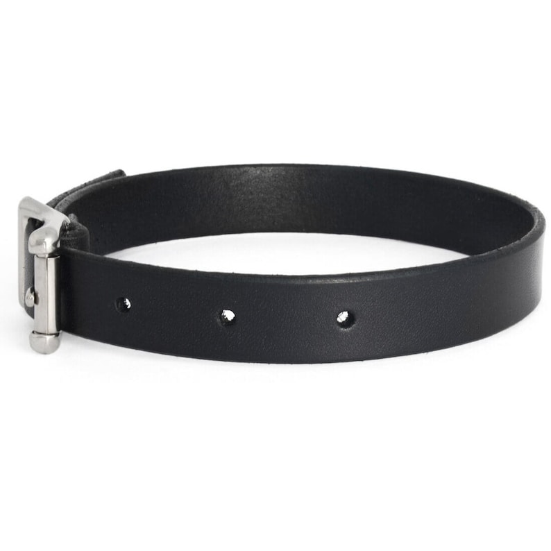 May include: A black leather choker with a silver buckle.