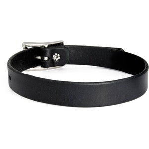 May include: A black leather choker with a silver buckle. The buckle has a small flower design.