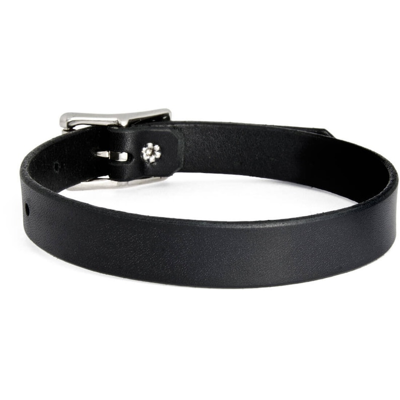 May include: A black leather choker with a silver buckle. The buckle has a small flower design.