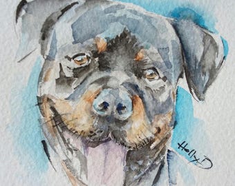 May include: Watercolor painting of a Rottweiler dog's face. The dog has black and brown fur, with a pink tongue and a blue background. The artist's signature, "Holly D", is in the bottom right corner.