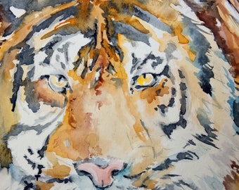 Originele tijger aquarel: Wildlife Safari Art (7 x 9")