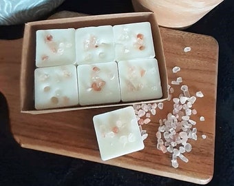 Rock Salt & Driftwood Botanical Soy Wax Melts, Handcrafted, Vegan, Perfect Gift, Gift for Her, New Home Gift, Mother's Day Gift, Boxed Gift