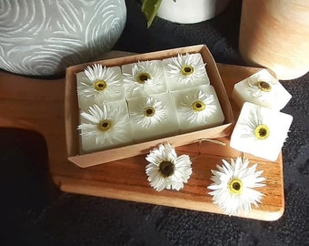 Daisy Botanical Soy Wax Melts, Handcrafted, Vegan, Perfect Gift, Gift for Her, New Home Gift, Mother's Day Gift, Boxed Gift