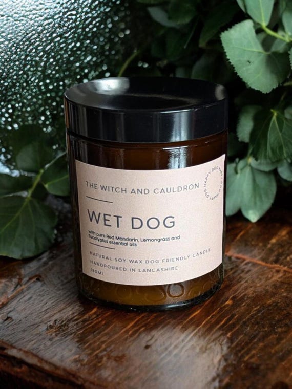 Wet Dog Soy Wax Dog Friendly Candle, Hand-poured, Vegan, Cruelty Free, Essential Oils, Aromatherapy Candle, Dog Lovers Gift, Gift Idea