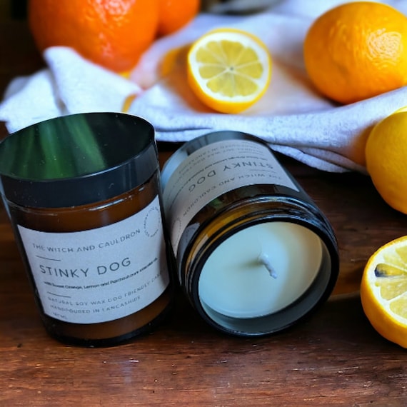 Stinky Dog Soy Wax Dog Friendly Candle