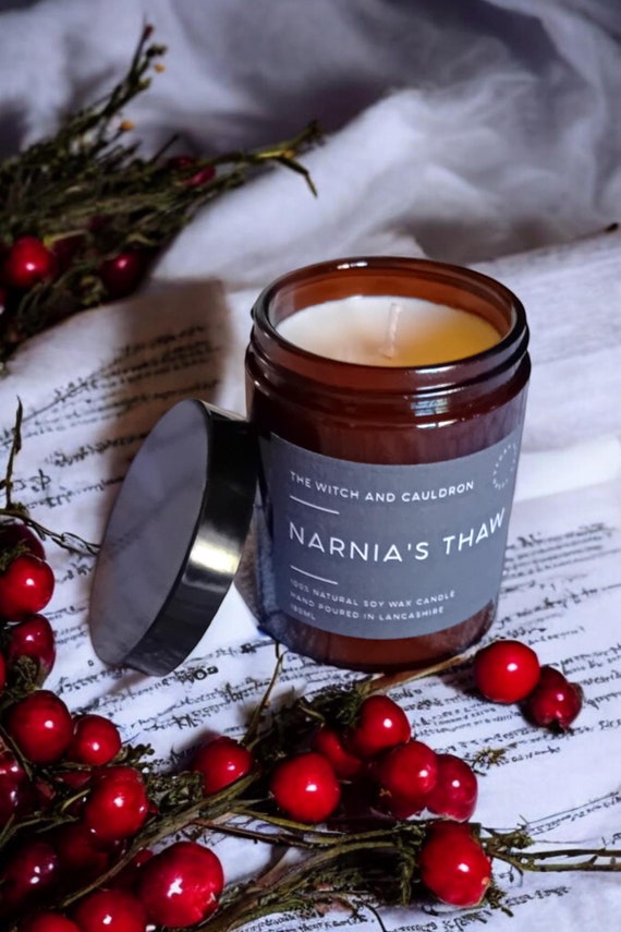 Narnia's Thaw Soy Wax Candle