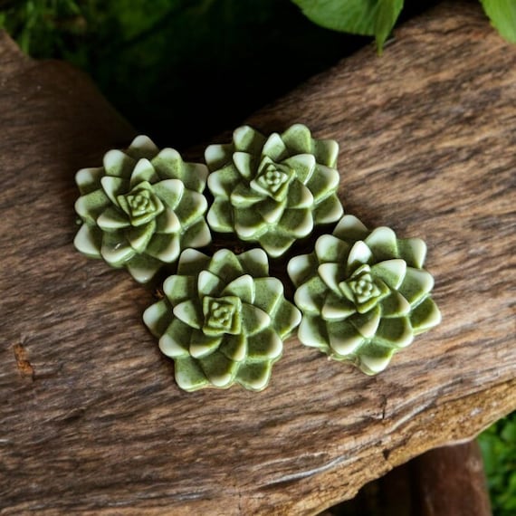 Succulent Handcrafted Artisan Soap Bar
