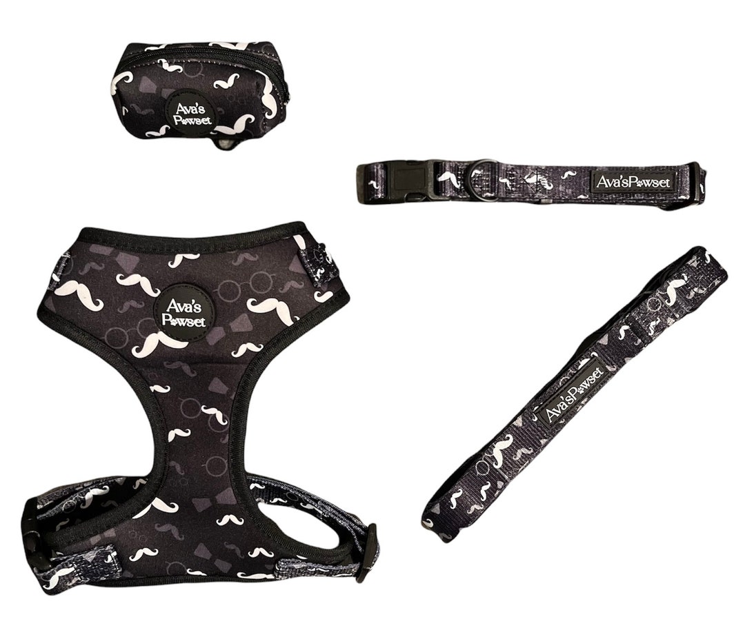 Dog Harness and Lead Set Cute Small Dog Harness Boy Dog Etsy