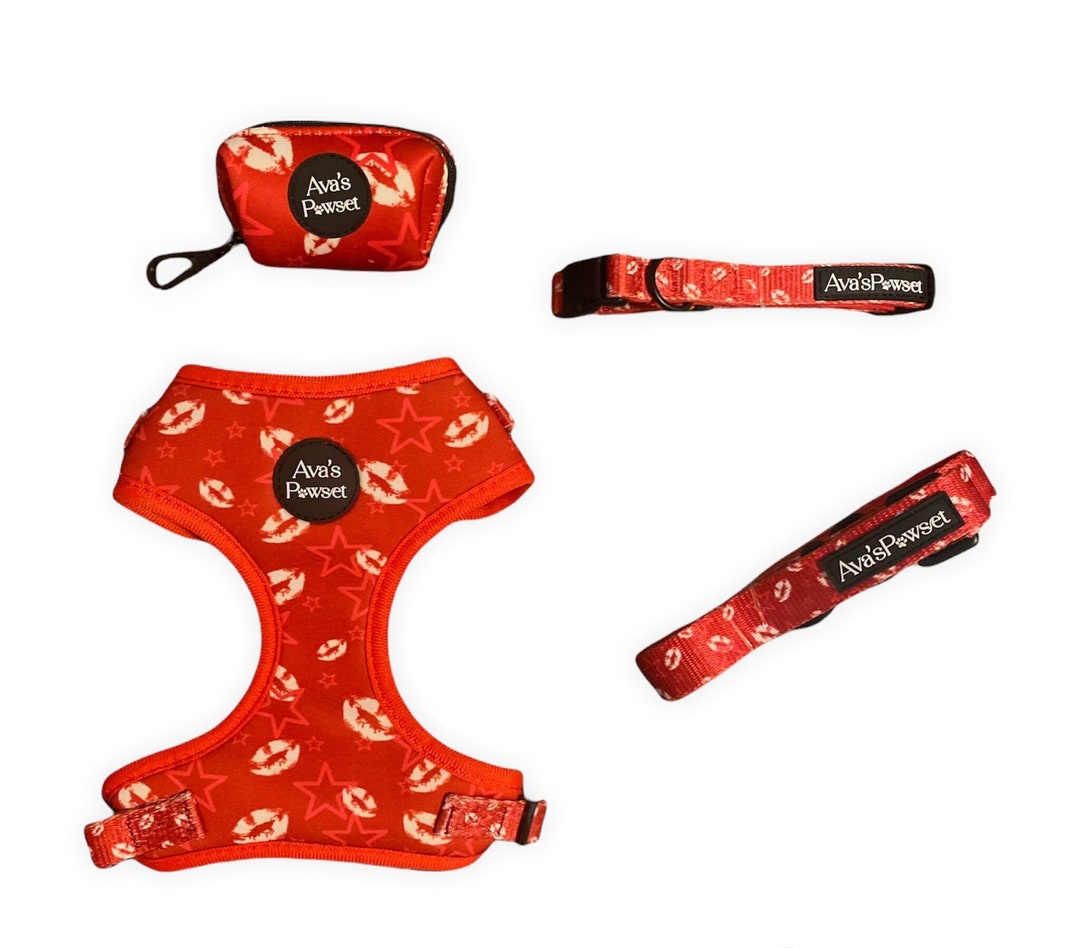 Dog Harness and Leash Set Cute Dog Harness Girl Dog Harness Etsy