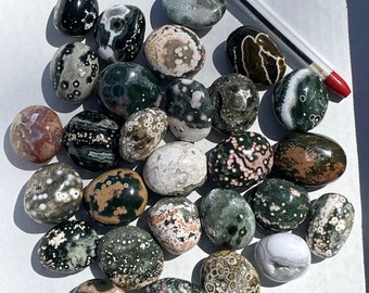 Assorted Ocean Jasper Tumbled Pebbles