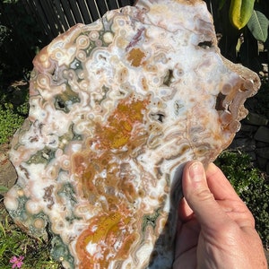 Amazing 8th Vein Ocean Jasper Slab